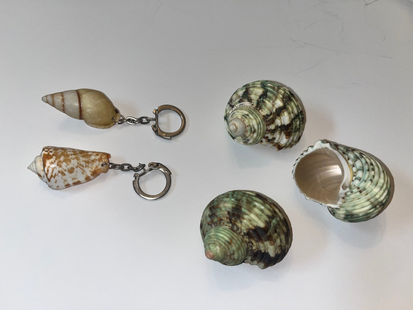 Antique Victorian Brass Stand with Capodimonte Style Bowls & Seashell Collection