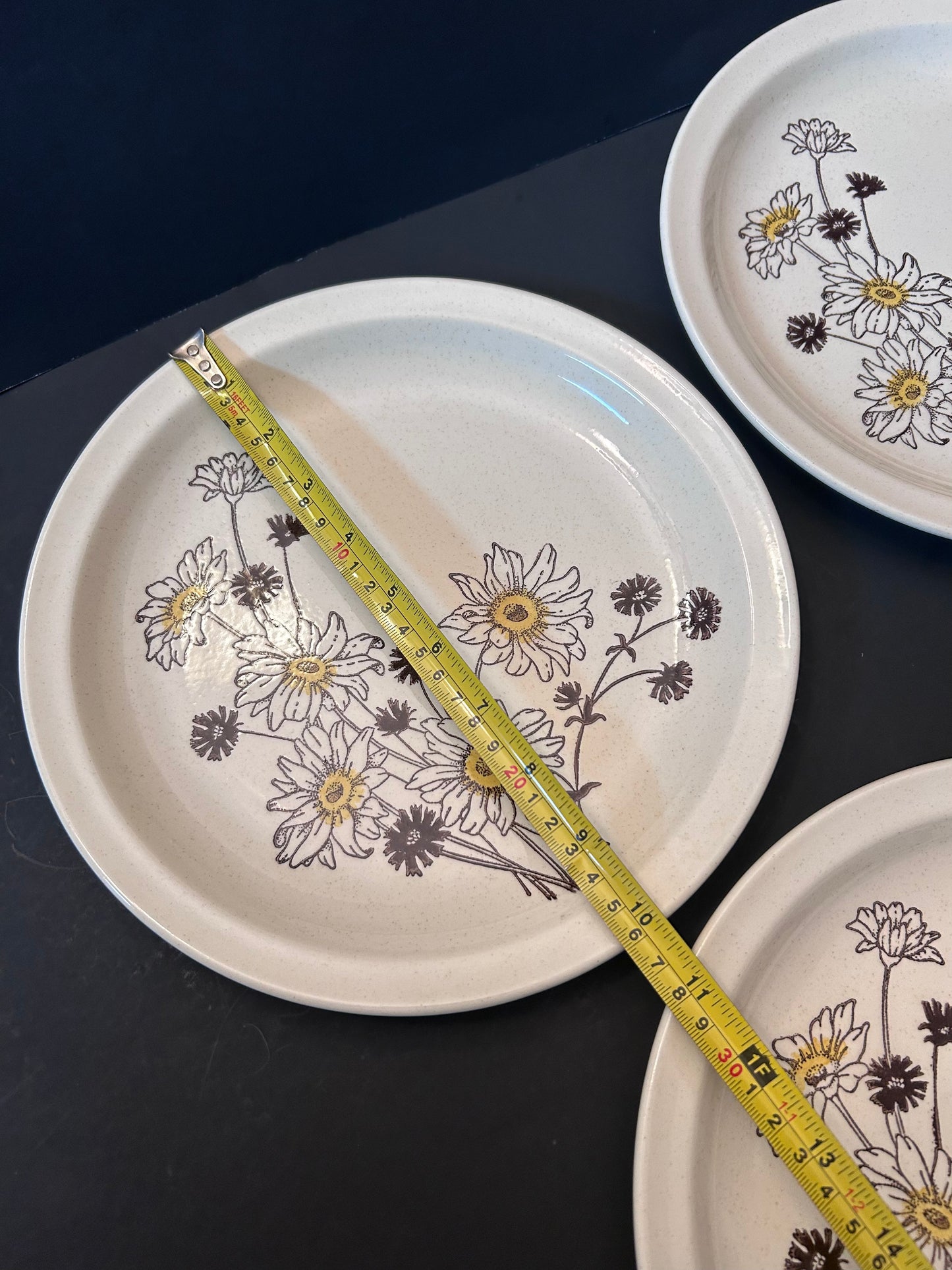 Roycroft Stoneware Daisies Flowers Dinner Plates (Set of 4)