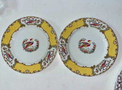 Chelsea House Bird Butterfly Decorative Platter (12”)& Andrea Sadek Chelsea Bird (8”)Plates