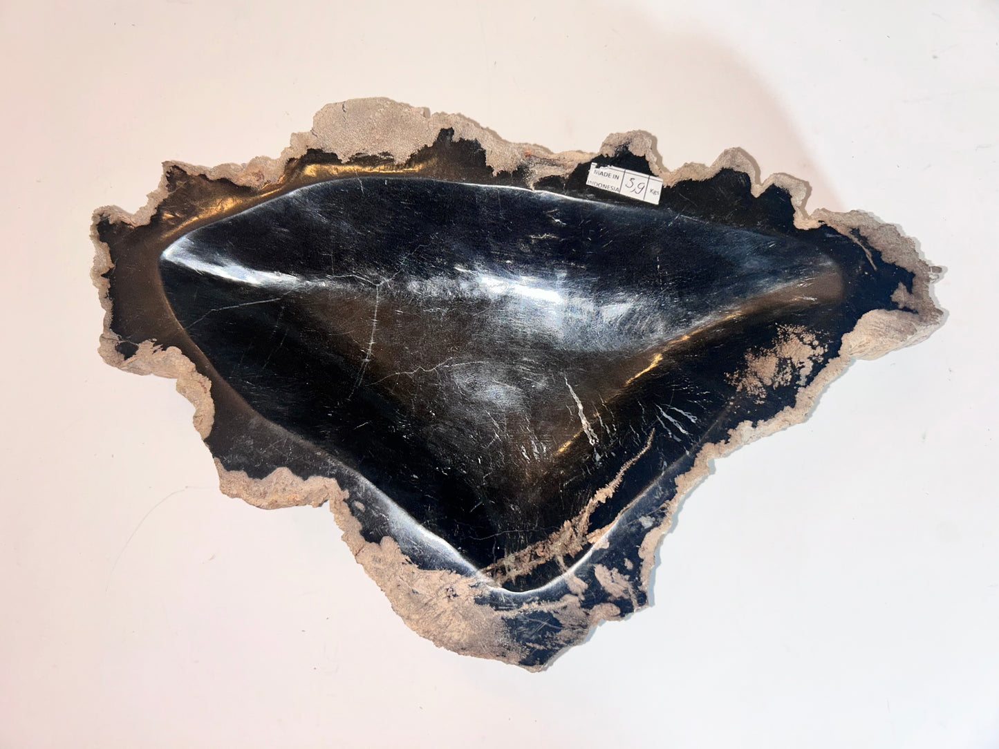 Museum-Quality Obsidian-Black Petrified Wood Sculpture/ Bowl 12.5" Rare Statement Piece