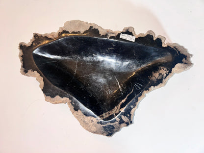 Museum-Quality Obsidian-Black Petrified Wood Sculpture/ Bowl 12.5" Rare Statement Piece