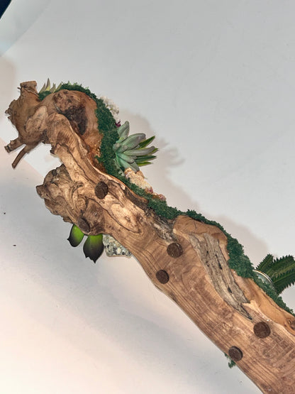 Coastal Chic Driftwood Centerpiece Candleholder Mystic & Driftwood Terrarium (3-Piece)