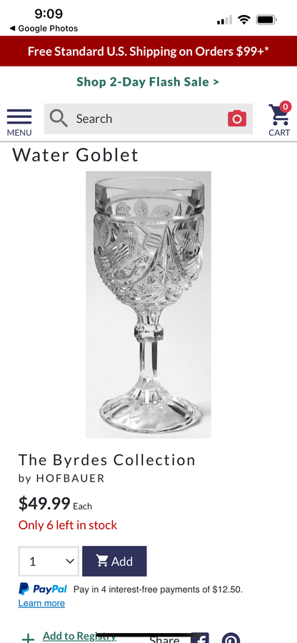 Hofbauer Byrdes Collection (7.5”) Cut Crystal Water Goblets (Set 5)