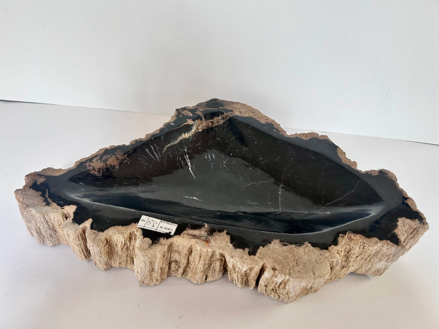 Museum-Quality Obsidian-Black Petrified Wood Sculpture/ Bowl 12.5" Rare Statement Piece