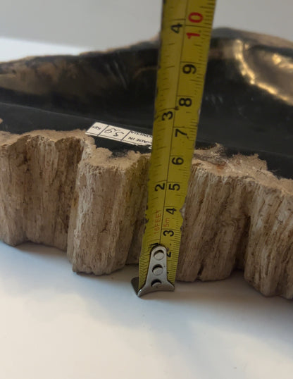 Museum-Quality Obsidian-Black Petrified Wood Sculpture/ Bowl 12.5" Rare Statement Piece