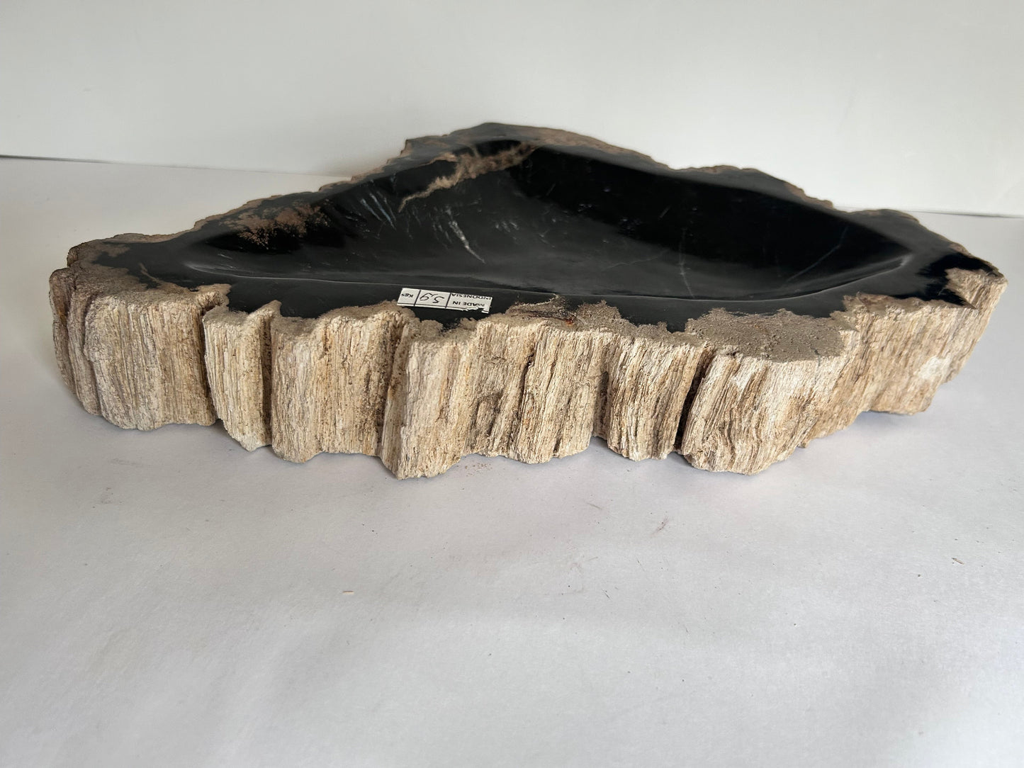 Museum-Quality Obsidian-Black Petrified Wood Sculpture/ Bowl 12.5" Rare Statement Piece