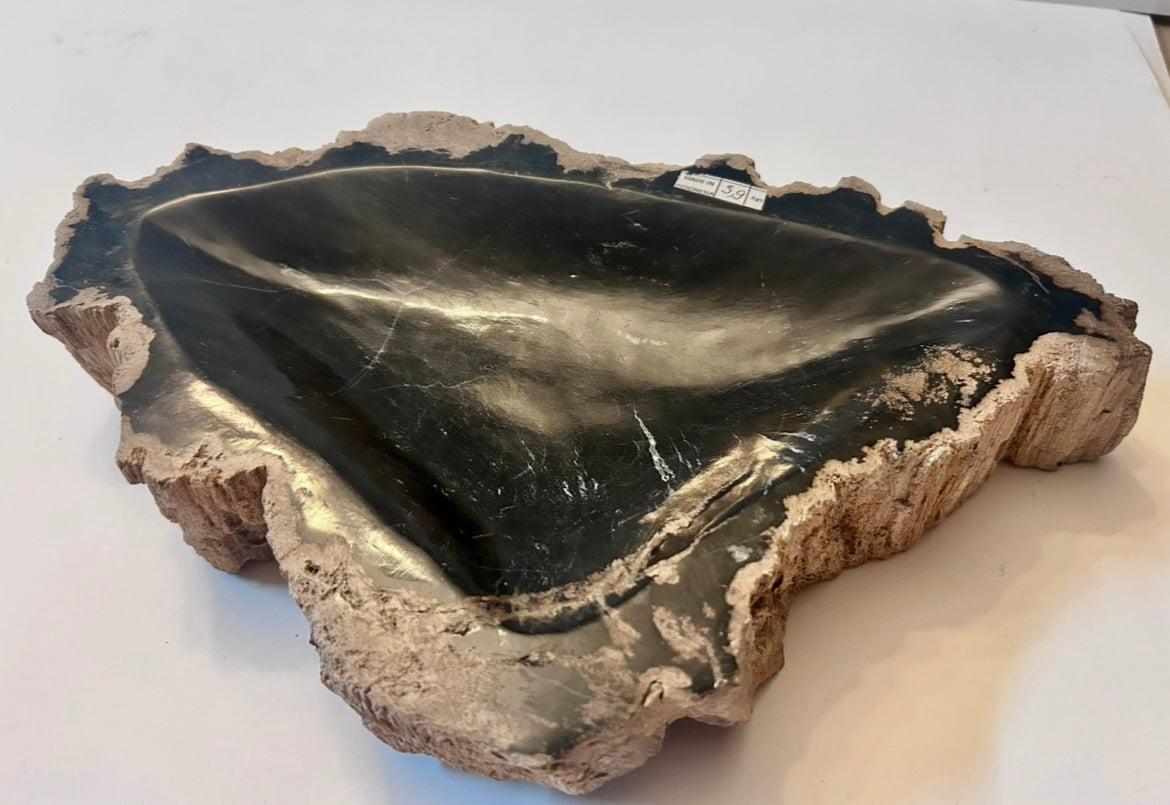 Museum-Quality Obsidian-Black Petrified Wood Sculpture/ Bowl 12.5" Rare Statement Piece