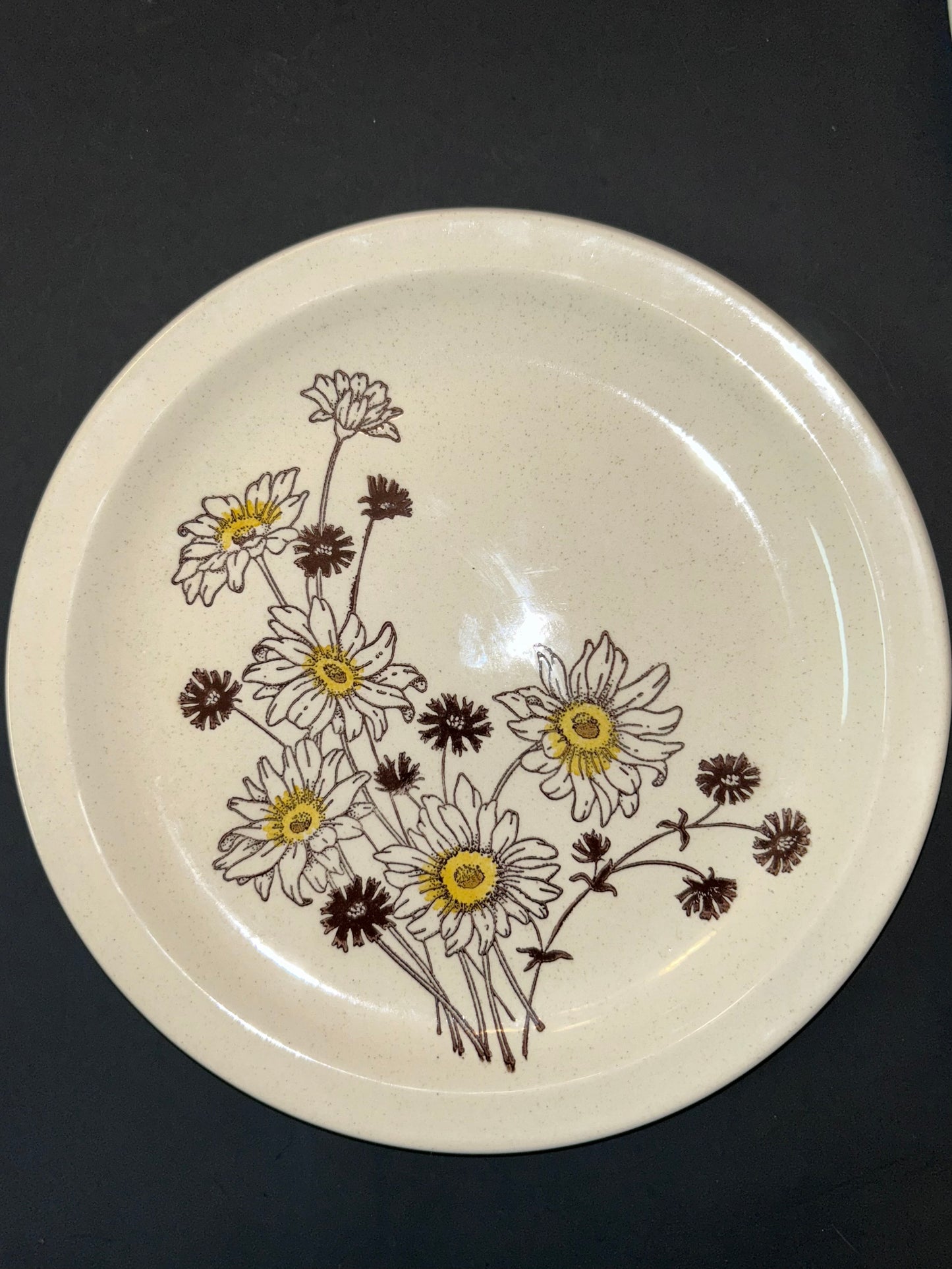 Roycroft Stoneware Daisies Flowers Dinner Plates (Set of 4)