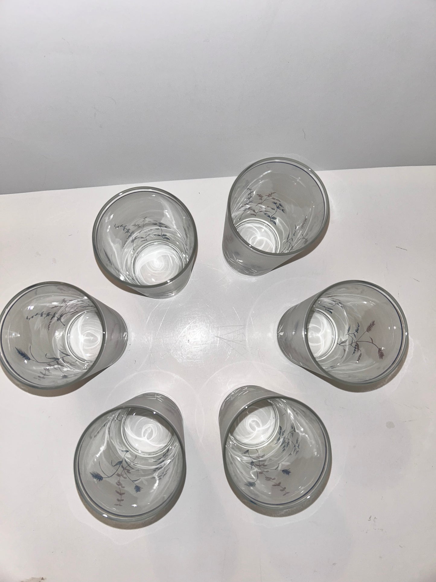 Set of 6 Woodstock by Noritake Japan Floral Frosted Tumblers.
