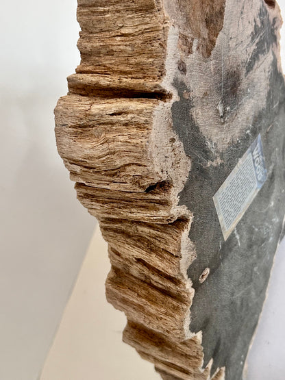 Museum-Quality Obsidian-Black Petrified Wood Sculpture/ Bowl 12.5" Rare Statement Piece