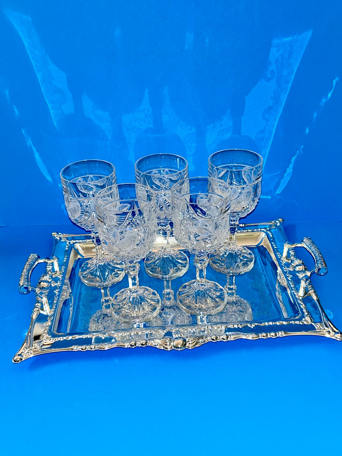 Hofbauer Byrdes Collection Cut Crystal Water Goblets (Set 5)