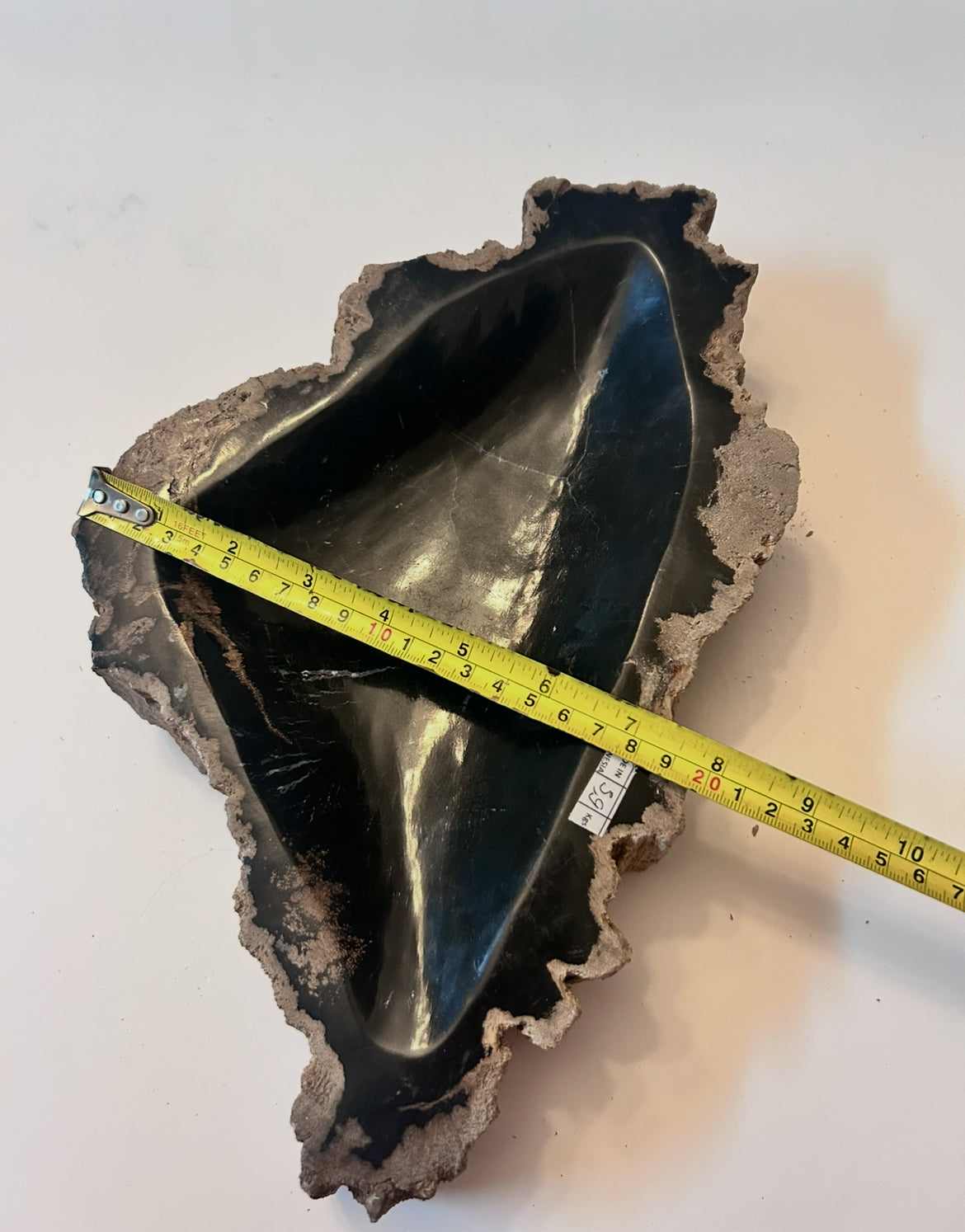 Museum-Quality Obsidian-Black Petrified Wood Sculpture/ Bowl 12.5" Rare Statement Piece