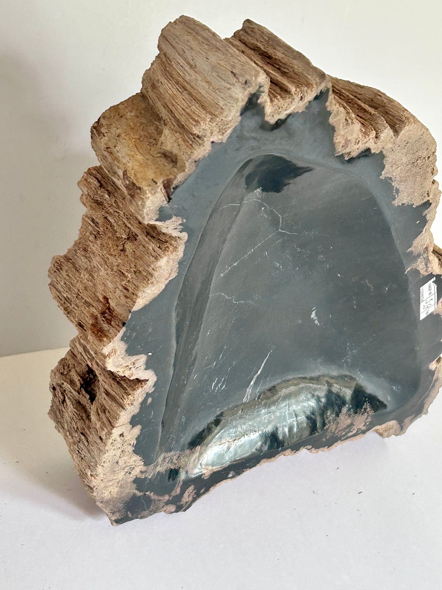 Museum-Quality Obsidian-Black Petrified Wood Sculpture/ Bowl 12.5" Rare Statement Piece
