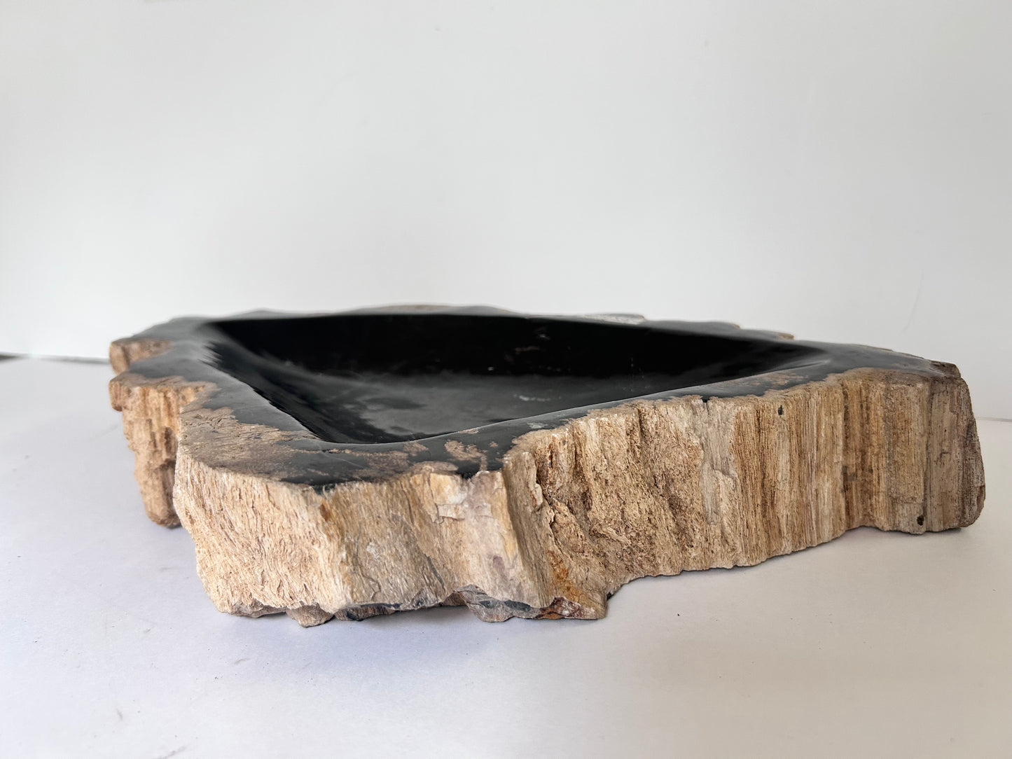 Museum-Quality Obsidian-Black Petrified Wood Sculpture/ Bowl 12.5" Rare Statement Piece