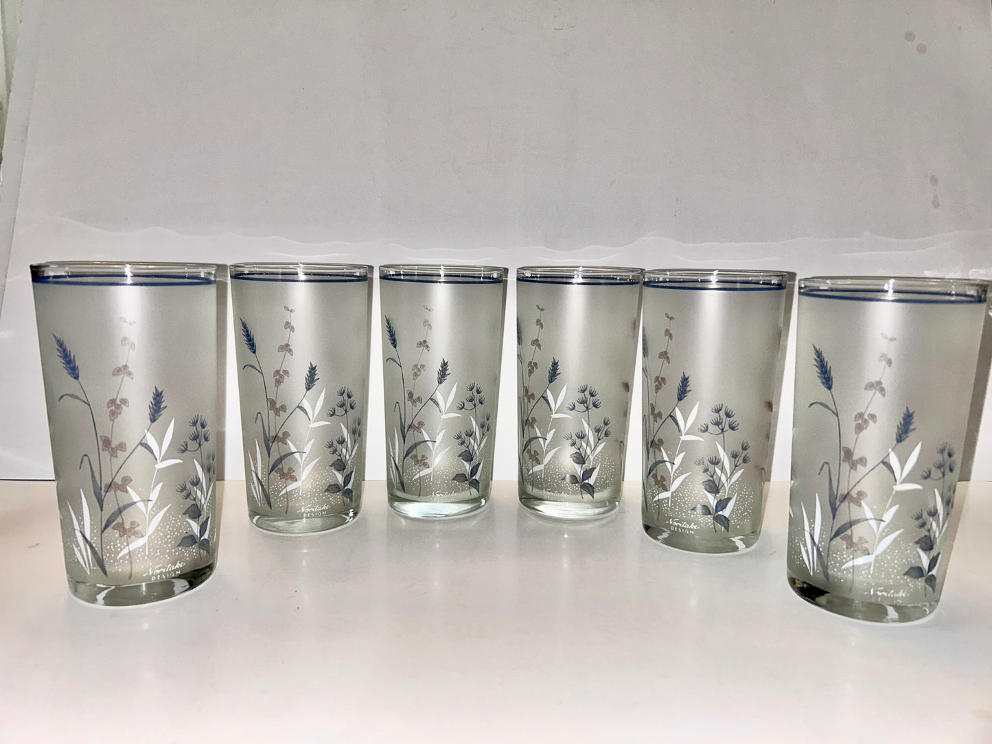 Set of 6 Woodstock by Noritake Japan Floral Frosted Tumblers.