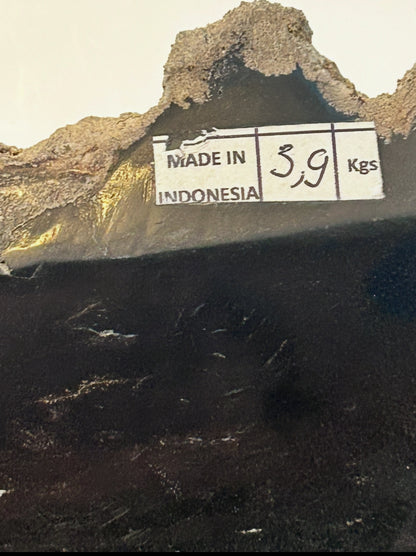 Museum-Quality Obsidian-Black Petrified Wood Sculpture/ Bowl 12.5" Rare Statement Piece