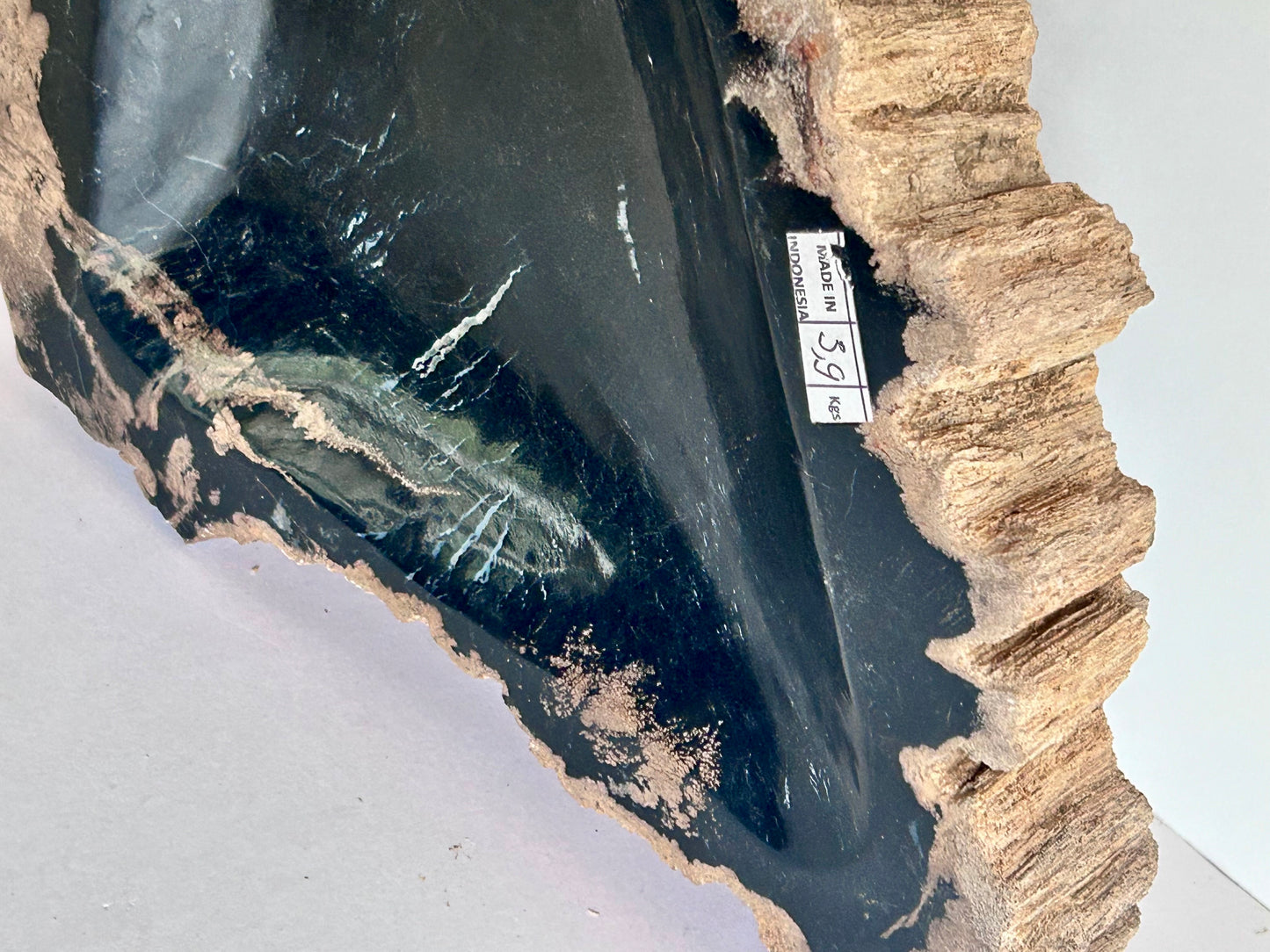 Museum-Quality Obsidian-Black Petrified Wood Sculpture/ Bowl 12.5" Rare Statement Piece