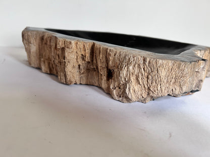 Museum-Quality Obsidian-Black Petrified Wood Sculpture/ Bowl 12.5" Rare Statement Piece