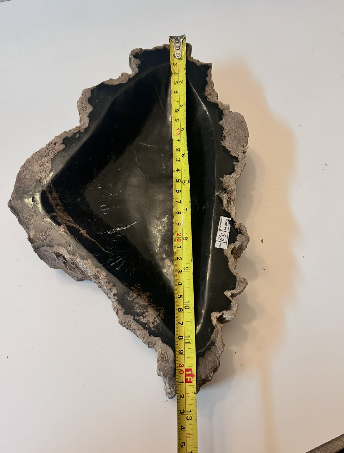 Museum-Quality Obsidian-Black Petrified Wood Sculpture/ Bowl 12.5" Rare Statement Piece