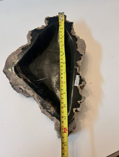 Museum-Quality Obsidian-Black Petrified Wood Sculpture/ Bowl 12.5" Rare Statement Piece