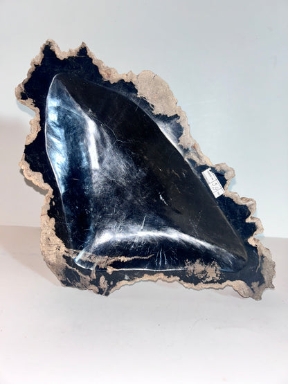 Museum-Quality Obsidian-Black Petrified Wood Sculpture/ Bowl 12.5" Rare Statement Piece