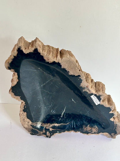 Museum-Quality Obsidian-Black Petrified Wood Sculpture/ Bowl 12.5" Rare Statement Piece