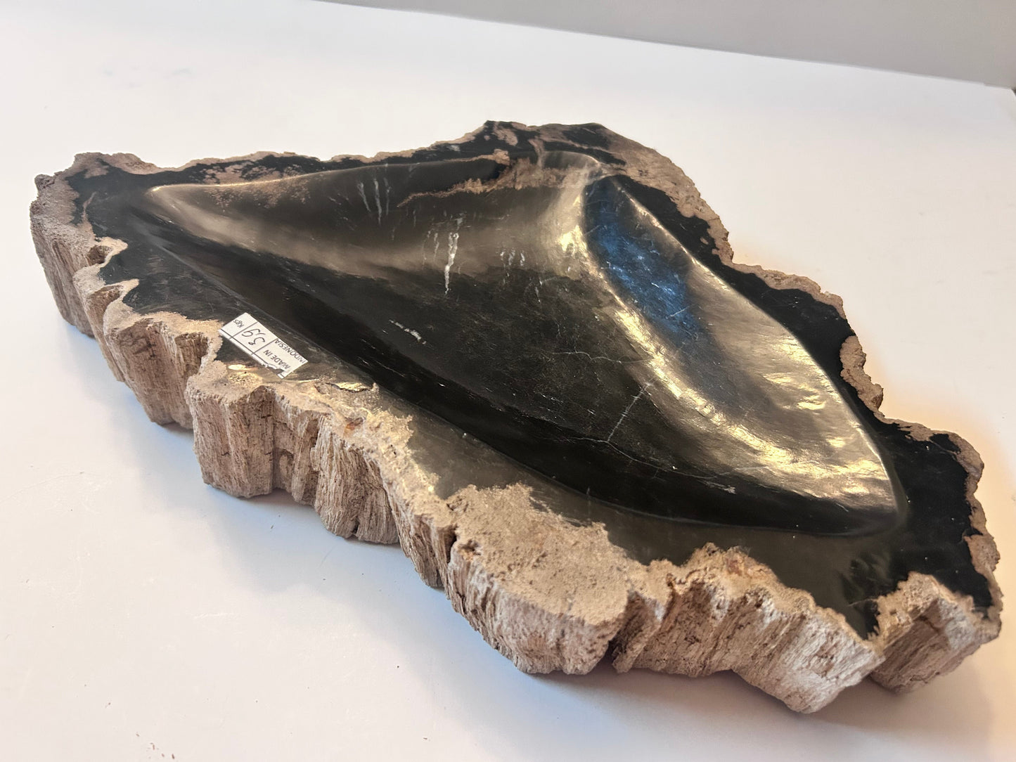 Museum-Quality Obsidian-Black Petrified Wood Sculpture/ Bowl 12.5" Rare Statement Piece