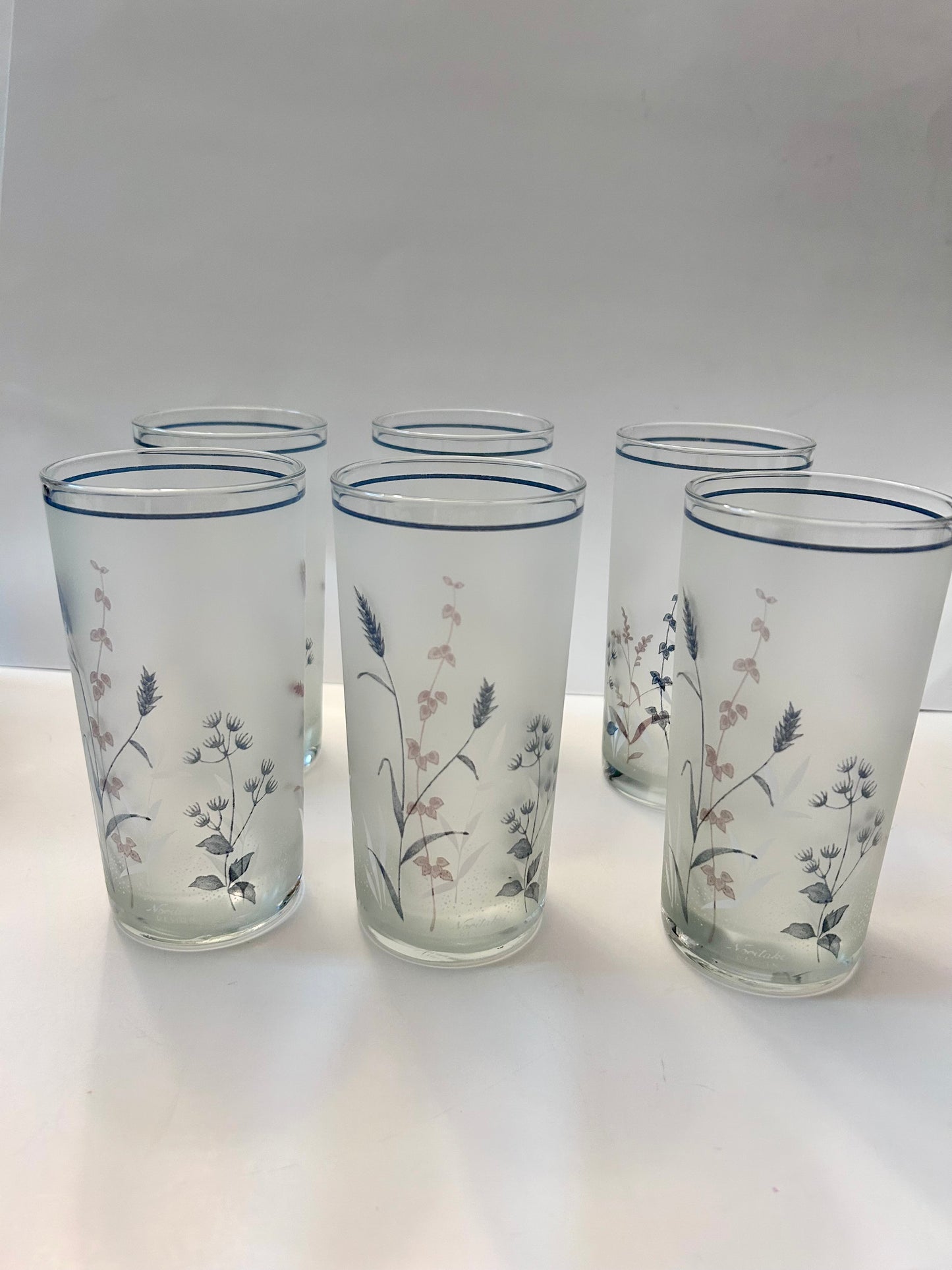 Set of 6 Woodstock by Noritake Japan Floral Frosted Tumblers.