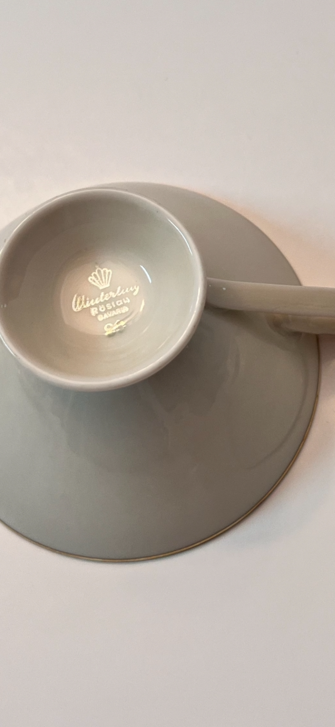 Vintage Winterling Roslau Bavaria Porcelain Teacup and Saucer Set - Finest Antique